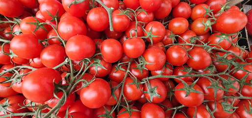 Vibrant close-up image of fresh cherry tomatoes still attached to the vine, displayed in bulk. The glossy red skin and green stems emphasize freshness, ripeness, and organic appeal.