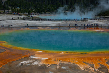 Grand Prismatic Spring from the overlook