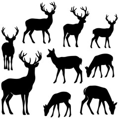 Naklejka premium Woodland Animals and Deer Silhouette Art