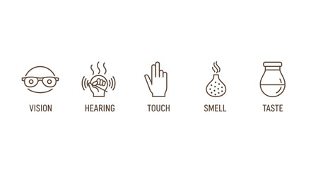 Simple Line Art Icons Representing the Five Senses
