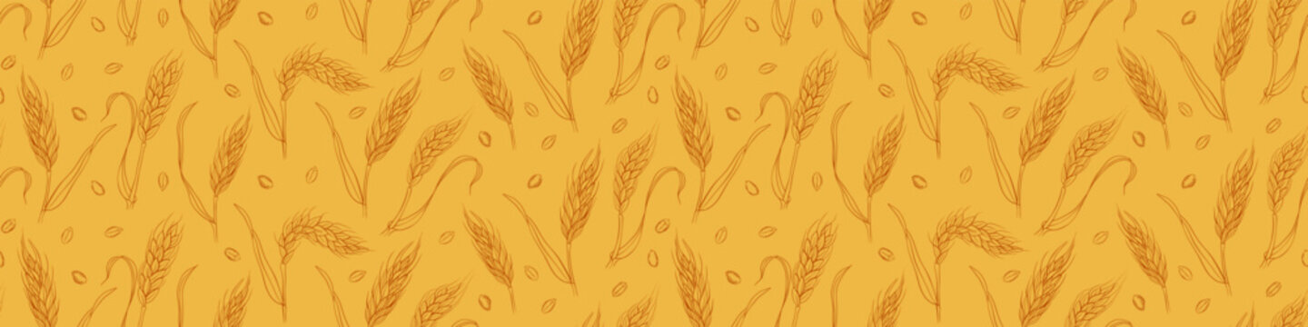 Seamless pattern with hand drawn wheat ears and grains. Vector illustration.