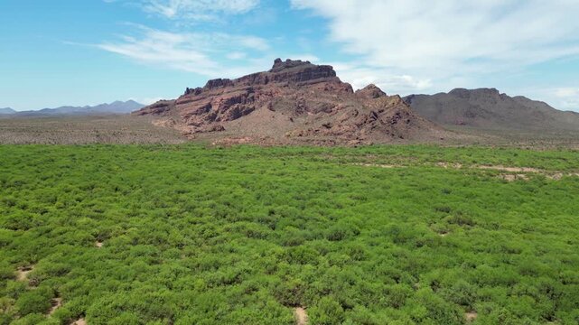 Drone footage of the Red Mountain rises over Arizona desert with lush foreground in Arizona, USA