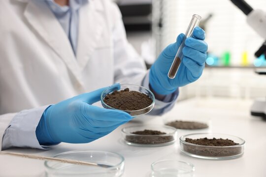 Scientist holding Petri dish with soil sample and test tube at white table in laboratory, closeup - Powered by Adobe