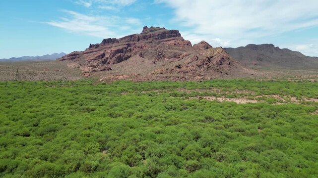 Drone footage of the Red Mountain rises over Arizona desert with lush foreground in Gold Canyon, USA