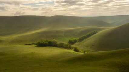 Expansive green hills with gentle slopes and a lush valley, featuring a cluster of trees in the...