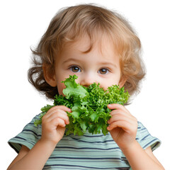 Happy Young Child Enjoying Fresh Lettuce in a Bright Indoor Setting on transparent background