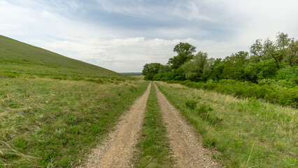Dirt road winding through lush green fields and trees under a cloudy sky, inviting exploration and...