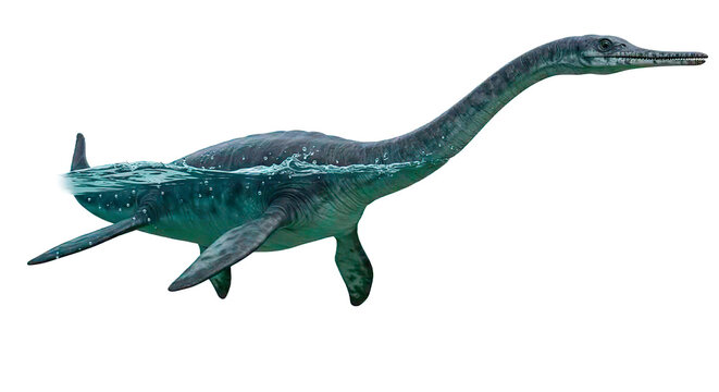 A realistic plesiosaur swims through the ocean, a vibrant portrayal of a prehistoric marine reptile.