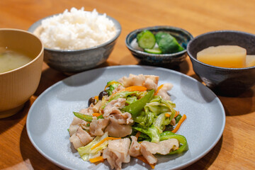 Japanese Dinner / 和食の夕食