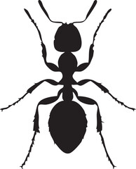 Ant Silhouette Isolated 