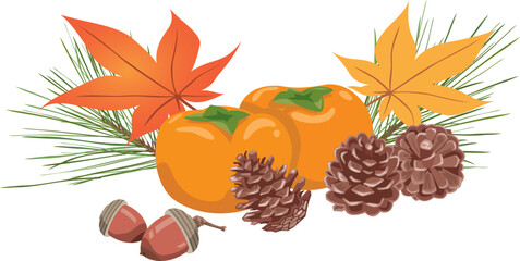 秋のイメージイラスト（松ぼっくり、どんぐり、紅葉、柿）