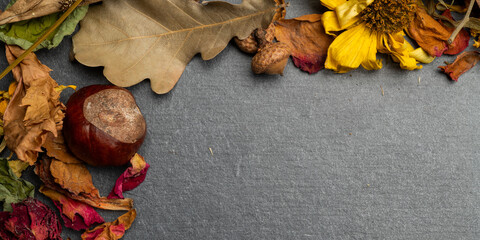 Autumn leaves with texture close-up for autumn background, postcard frame with free space for...