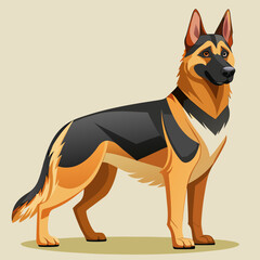 vector illustration of a german shepherd dog