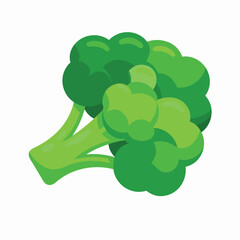 broccoli isolated on white