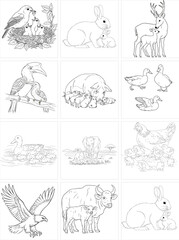 Animal Line Drawing Collection – Black Outline Vector Set on White Background (12 Illustrations)