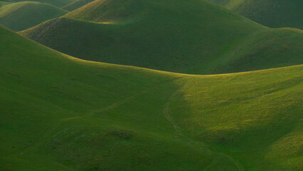 Rolling green hills create a serene landscape, showcasing gentle slopes and vibrant grass under soft sunlight, evoking a sense of tranquility and natural beauty
