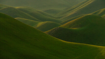 Rolling green hills create a serene landscape under soft natural light, showcasing the beauty of nature's undulating terrain and vibrant grass in a peaceful environment