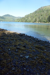 Rocky Beach and Mountains, Haida Gwaii