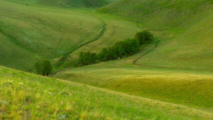 Lush green valley landscape with winding river, rolling hills, and scattered trees, showcasing the beauty of nature and tranquility in a serene environment