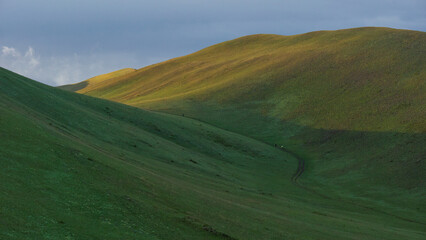 Rolling green hills under a cloudy sky, showcasing the natural beauty of the landscape with soft sunlight illuminating the grassy slopes and creating a serene atmosphere