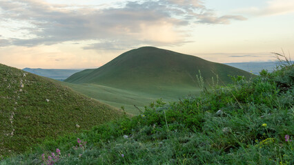 Rolling green hills under a soft sky, showcasing vibrant flora and gentle slopes, creating a serene landscape that invites exploration and appreciation of nature's beauty