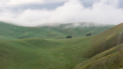 Lush green hills under a cloudy sky, with mist rolling over the landscape, creating a serene and tranquil atmosphere in a natural setting, ideal for relaxation and reflection