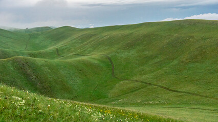 Lush green rolling hills under a cloudy sky, showcasing the beauty of nature with winding paths and vibrant wildflowers in the foreground, creating a serene landscape scene