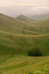 Rolling green hills with winding dirt paths create a serene landscape, showcasing the beauty of nature and the tranquility of the countryside in soft morning light