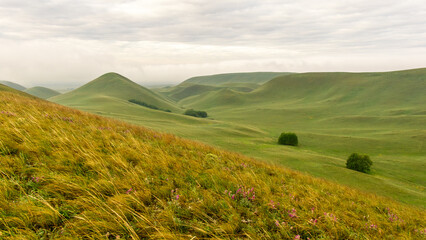 Expansive green hills under a cloudy sky, showcasing rolling landscapes with patches of trees and vibrant wildflowers, creating a serene and tranquil natural environment