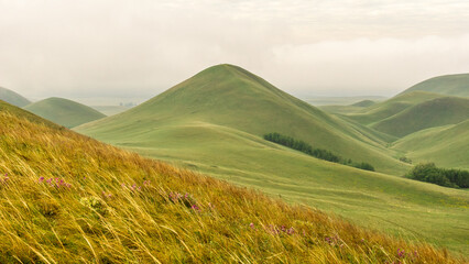 Rolling green hills under a cloudy sky, showcasing the beauty of nature with gentle slopes and vibrant grass, creating a serene and peaceful landscape scene