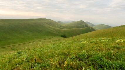 Lush green hills stretch across the landscape under a soft cloudy sky, showcasing the beauty of nature and the tranquility of the countryside in a serene environment