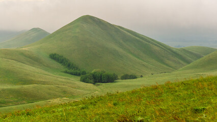 Lush green rolling hills under a cloudy sky, showcasing the beauty of nature, with gentle slopes and patches of trees creating a serene landscape atmosphere