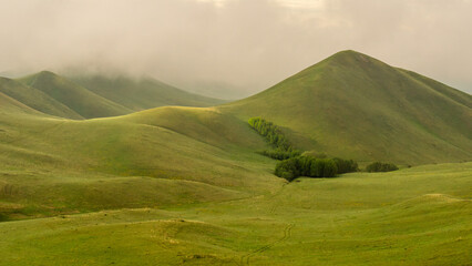 Lush green rolling hills under a cloudy sky, with gentle slopes and patches of trees, creating a serene and tranquil landscape scene for nature enthusiasts and outdoor lovers