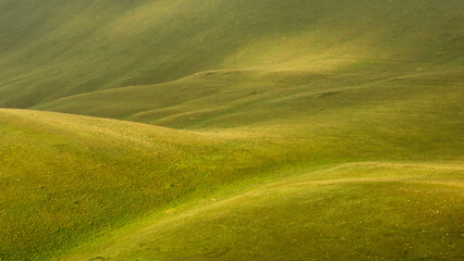 Rolling green hills create a serene landscape, with gentle slopes and soft textures under natural light, evoking a sense of tranquility and connection to nature