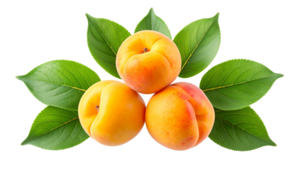 “Apricot Trio with Floating Leaf Accents”.