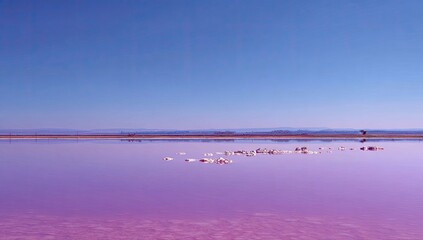 Vast pink lake under a vibrant sky