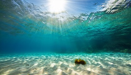Obraz premium a serene underwater scene with sunlight filtering through clear water illuminating the sandy ocean floor