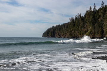 Waves breaking on the tree lined coast of the Pacific Northwest