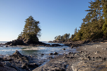Trees on a rocky Pacific Northwest coast