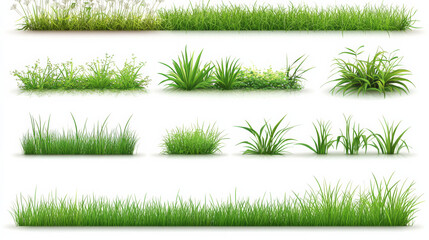 Green Grass Borders Set Isolated White Background With Gradient Mesh, Vector Illustratio 