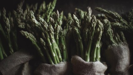 asparagus - Powered by Adobe