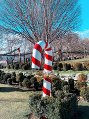 Christmas Candy Cane statue in garden surrounded  by trees and bright blue sky