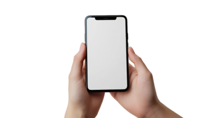 Red apple (Envy Apple) isolated on white background, clipping path, cut out