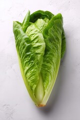 Fresh, crisp romaine lettuce displayed against a clean white background, highlighting its vibrant green leaves, Ideal for culinary presentations, healthy eating blogs, cookbooks, or grocery marketing