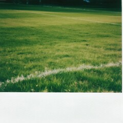green grass and blue sky