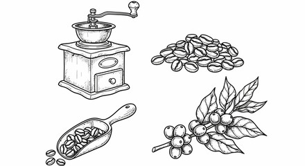 Hand drawn coffee beans with grinder, scoop and branch in coffee beans art sketch black vector botanical barista elements