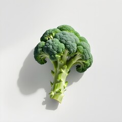 A large green broccoli head is shown on a white background. The broccoli is fresh and healthy, with a bright green color that stands out against the white background.