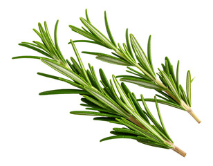 Fototapeta premium Rosemary seasoning isolated on transparent background