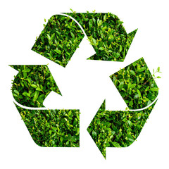 Recycle Logo: A refreshing take on environmental responsibility, a recycle logo cleverly designed, seamlessly blending nature with conservation, creating a strong visual statement.