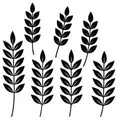 Obraz premium Black Leafy Branches on White Background plant nature